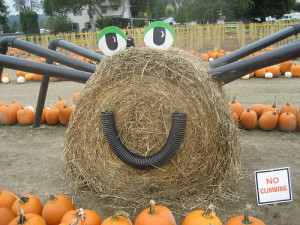 autumn-decorations-hay