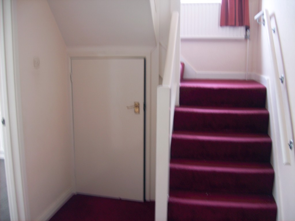 Carpeted stairs