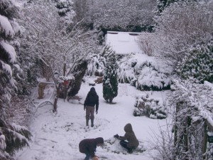 protect_your_garden_in_cold-weather