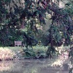 stress_free_sanctuary