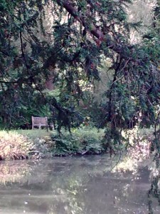 stress_free_sanctuary