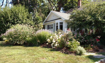 Front Garden Make-Over