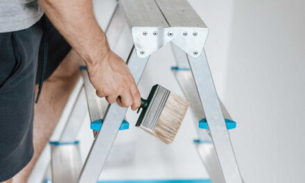 Choosing The Right Ladders For DIY Projects