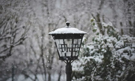 How To Prepare Your Garden For Winter