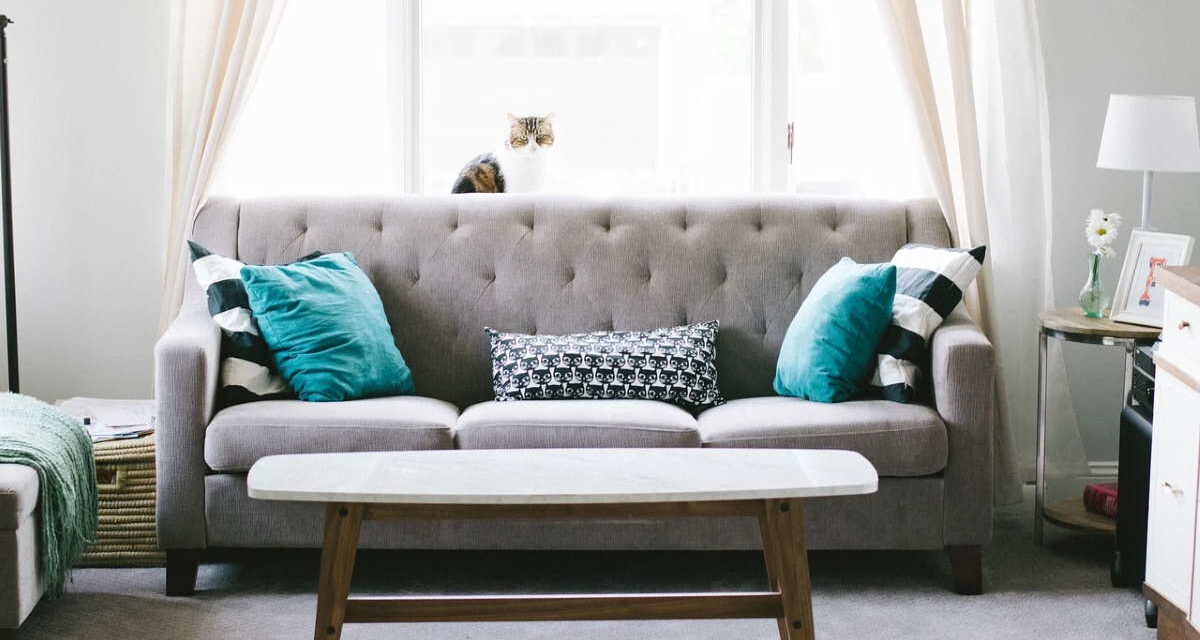 10 Easy Steps to A Cozy Living Room