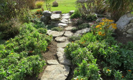 5 Amazing Garden Stone Path Ideas