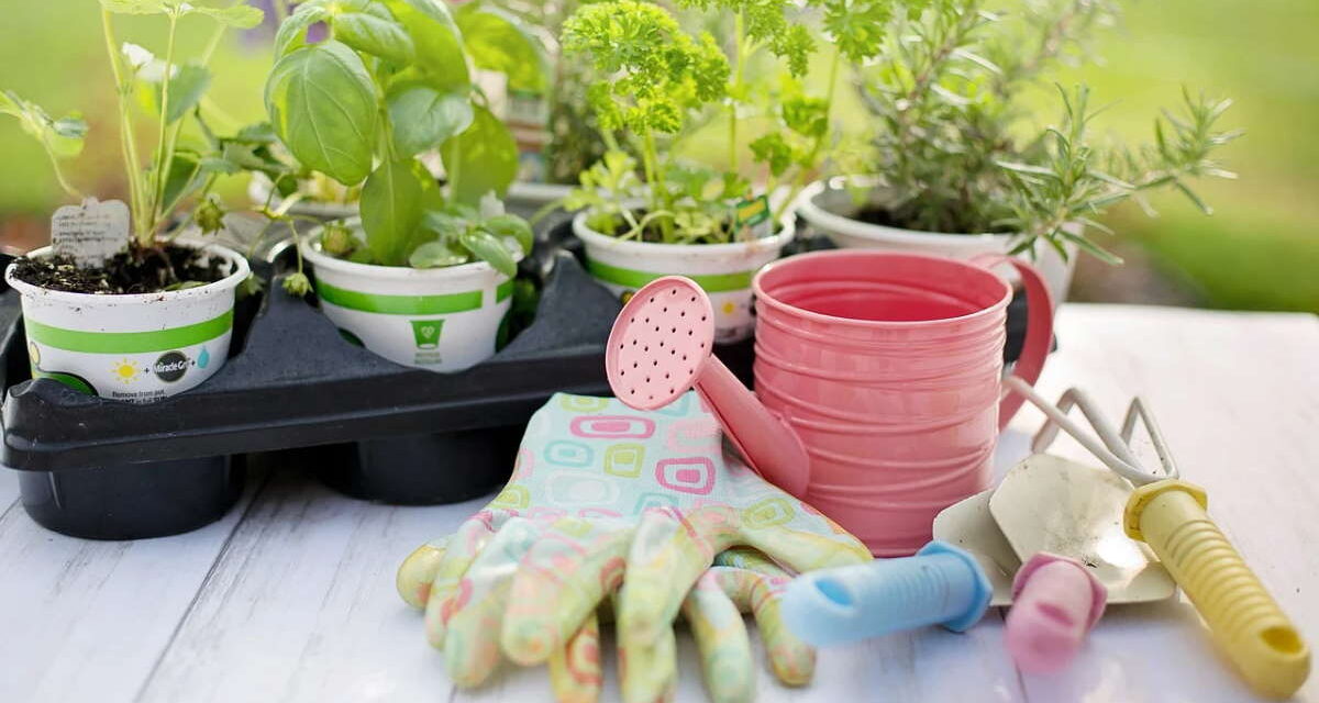 5 Useful Tools For Better Gardening