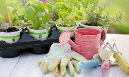 5 Useful Tools For Better Gardening