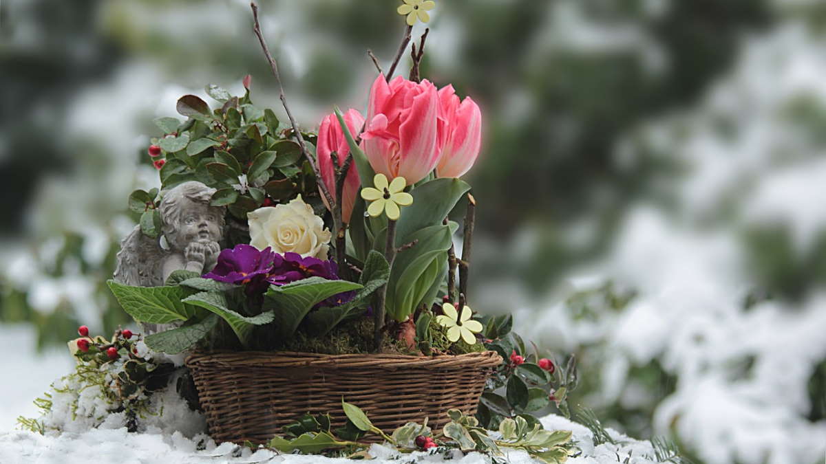 Create A Perfect Winter Garden Wonderland